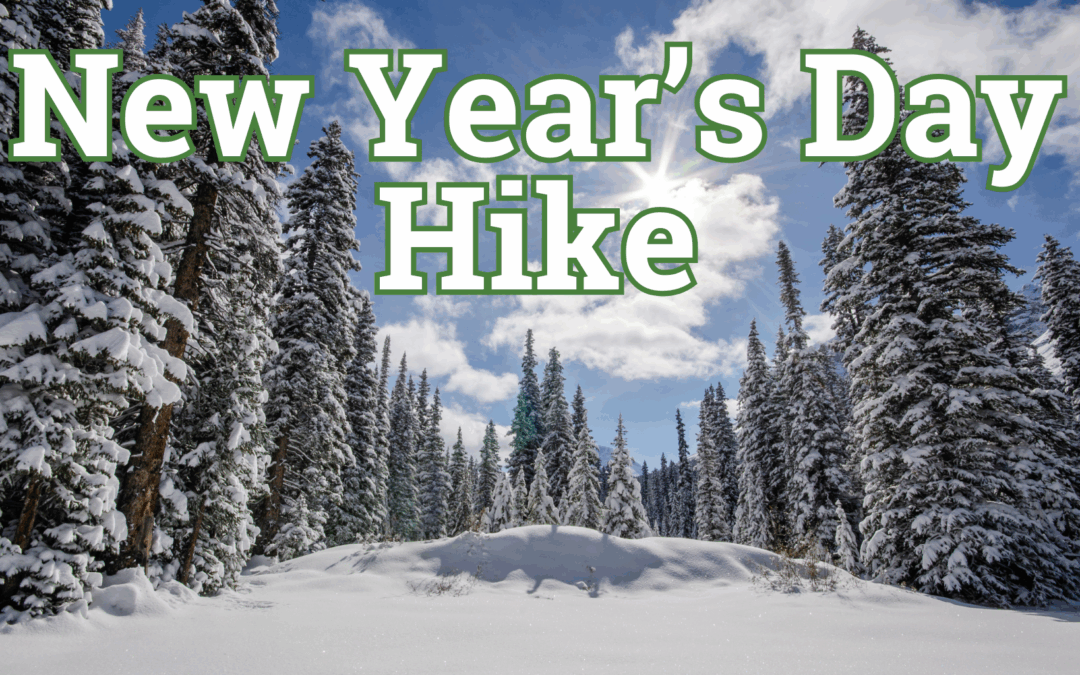 New Year’s Day Hike