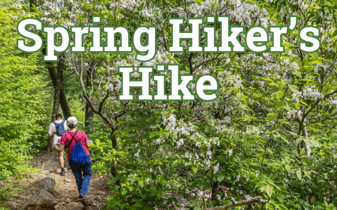 Spring Hiker’s Hike