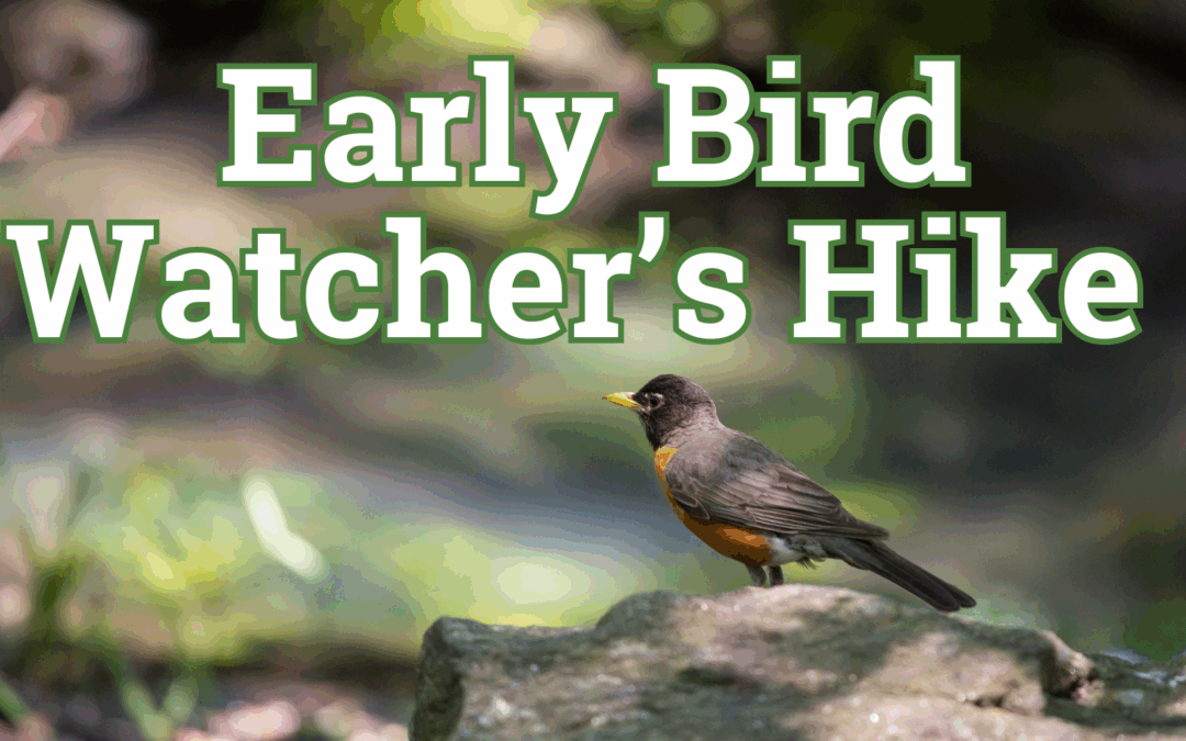 Early Bird Watchers’ Hike
