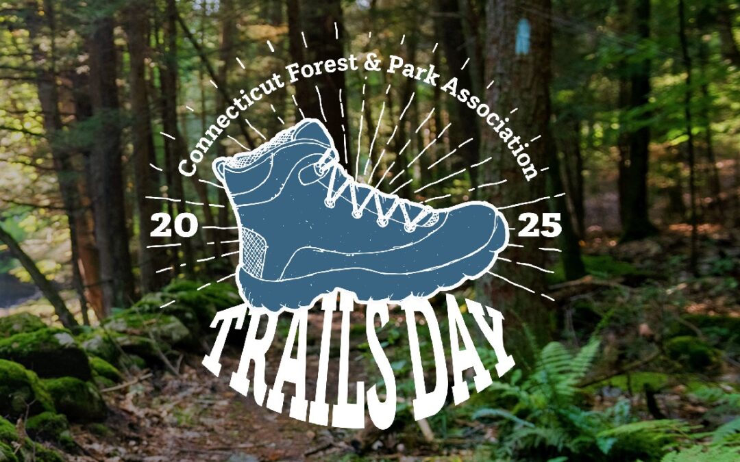 CT Trails Day 2025 – 3 Hikes at Sleeping Giant!