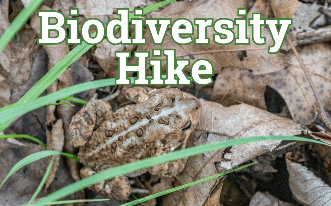 Biodiversity Hike