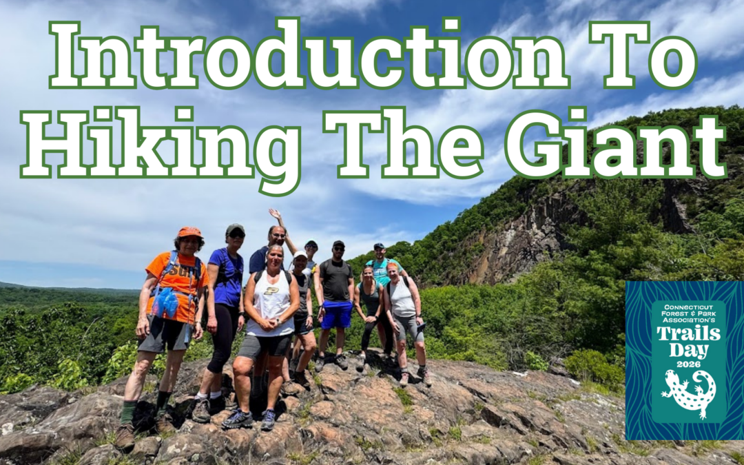 CT Trails Day – Introduction To Hiking The Giant