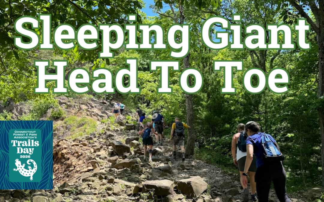 CT Trails Day – Head to Toe Hike